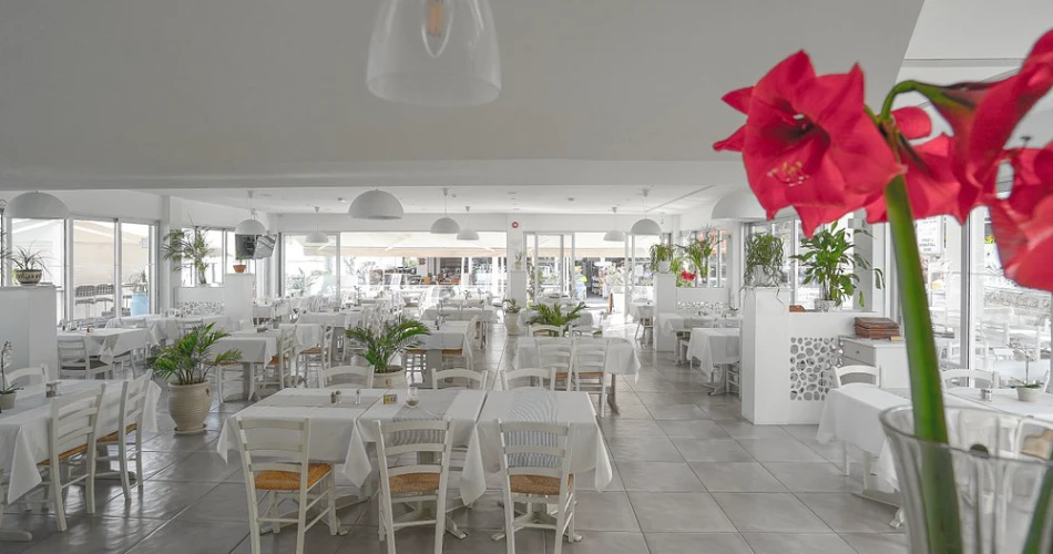 Melini Hotel Suites Protaras: A Stylish Seaside Escape